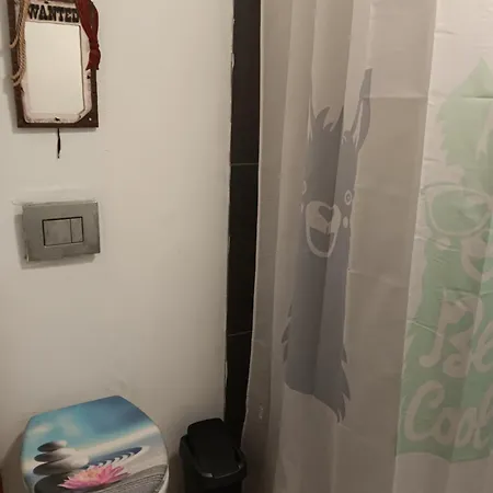 Sonnenscheinhof Alpakas, Alpaka Huette * Lasbek