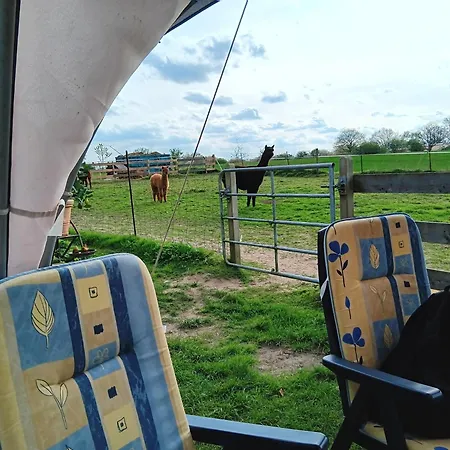 Feriehus Sonnenscheinhof Alpakas, Alpaka Huette