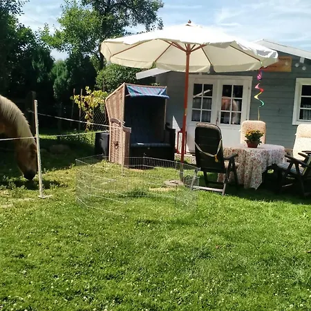 Sonnenscheinhof Alpakas, Alpaka Huette Feriehus *