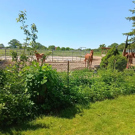 Sonnenscheinhof Alpakas, Alpaka Huette
